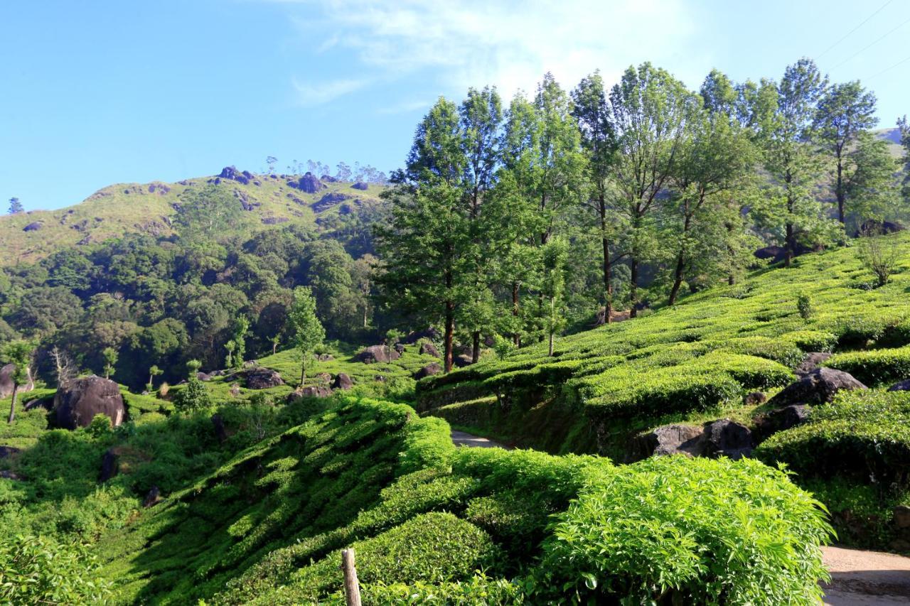 Green Magic Home Munnar Exterior foto