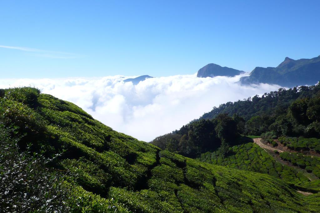 Green Magic Home Munnar Exterior foto