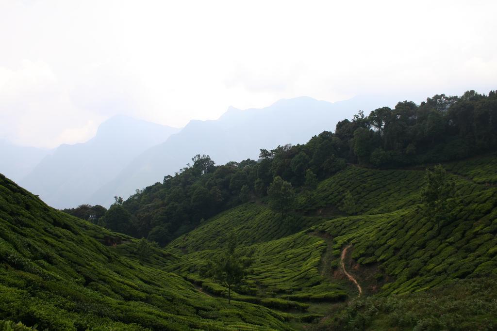 Green Magic Home Munnar Exterior foto